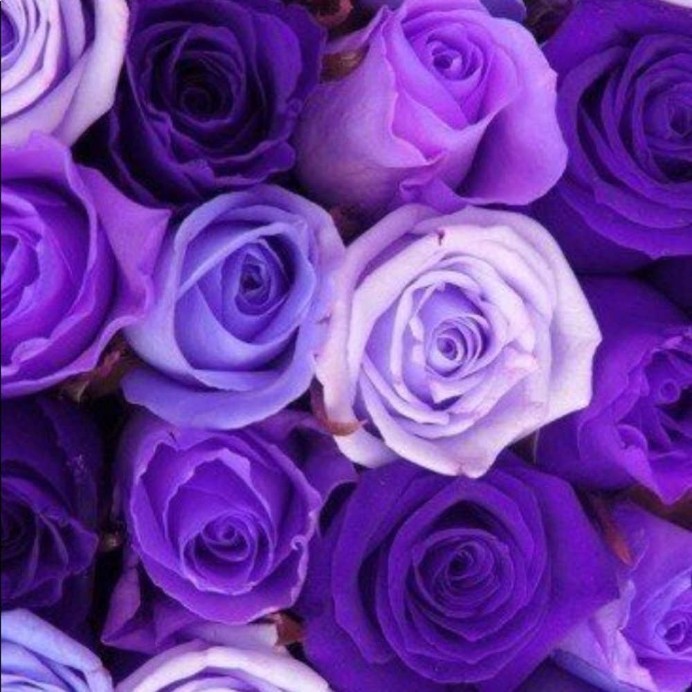 Meet your Posher, Tameika